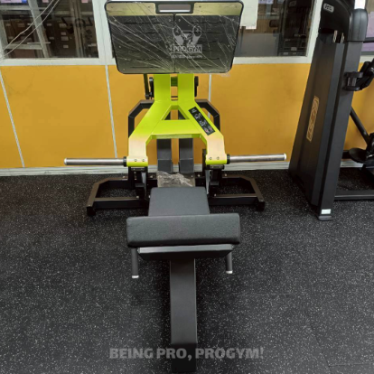 Y950Z 腿部推蹬機