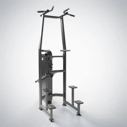 E7009單雙槓訓練機